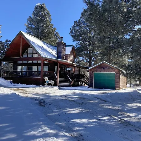 Painted Pony Cabin